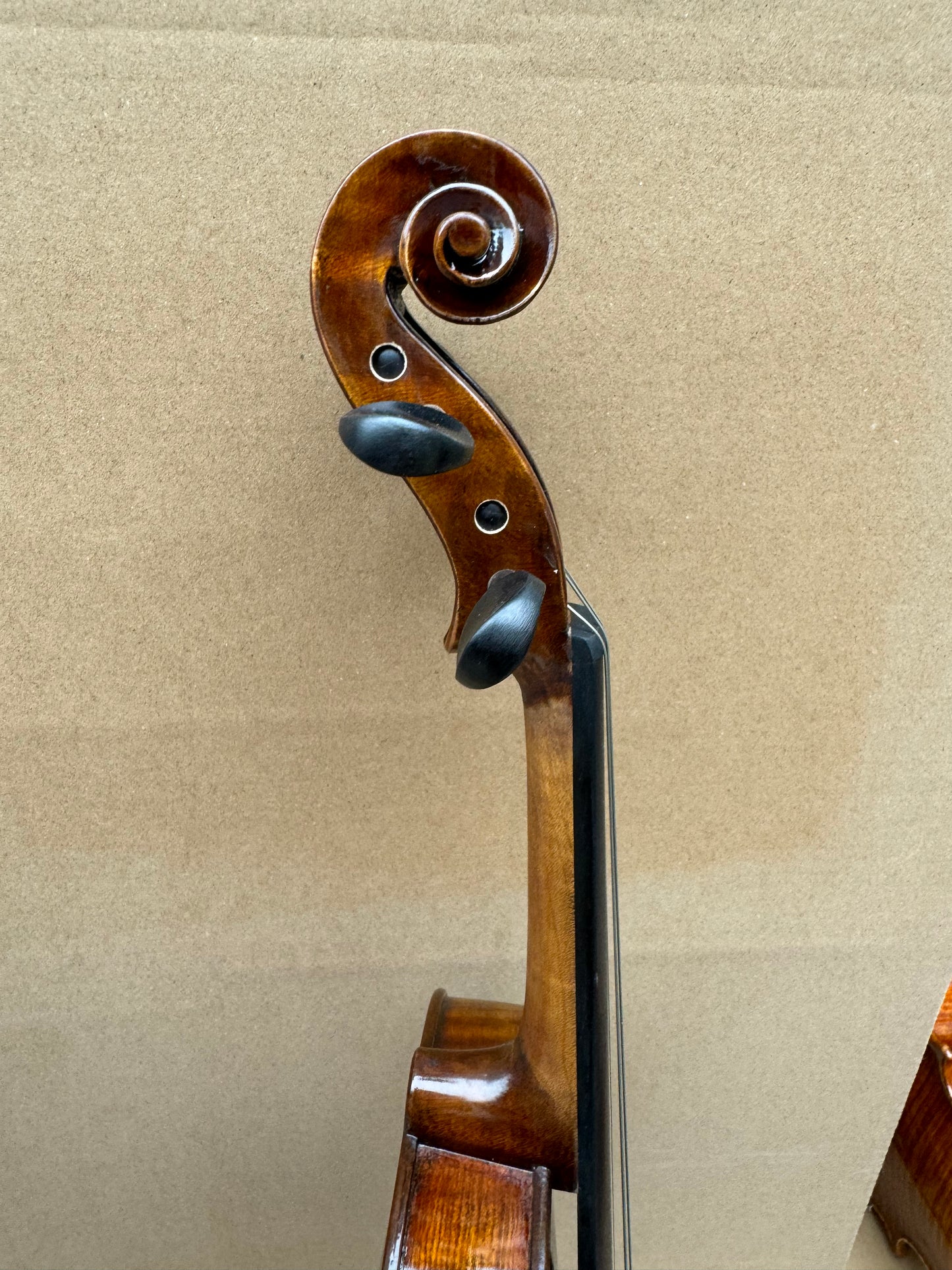 Surpass Musica qaulity violin 4/4 concert fiddle rich sound spirit varnish strings solid spruce